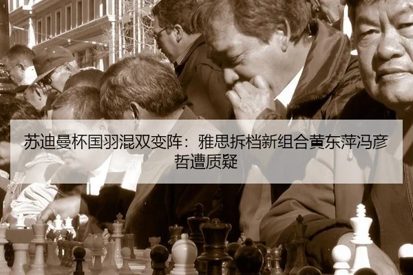 su-di-man-bei-guo-yu-hun-shuang-bian-zhen-ya-si-chai-dang-xin-zu-he-huang-dong-ping-feng-yan-zhe-zao-zhi-yi-2-545.jpg