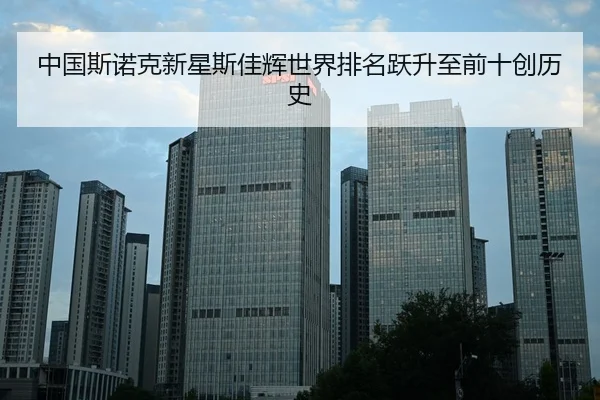 zhong-guo-si-nuo-ke-xin-xing-si-jia-hui-shi-jie-pai-ming-yue-sheng-zhi-qian-shi-chuang-li-shi-3-285.jpg
