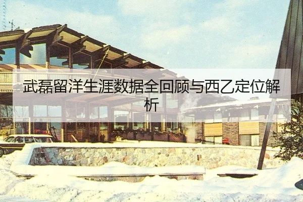 武磊留洋生涯数据全回顾与西乙定位解析