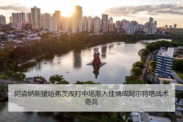 a-sen-na-xin-yuan-ha-fu-ci-gai-da-zhong-chang-jian-ru-jia-jing-cheng-a-er-te-ta-zhan-shu-qi-bing-3-421.jpg